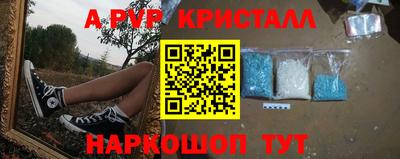 бошки Тверь