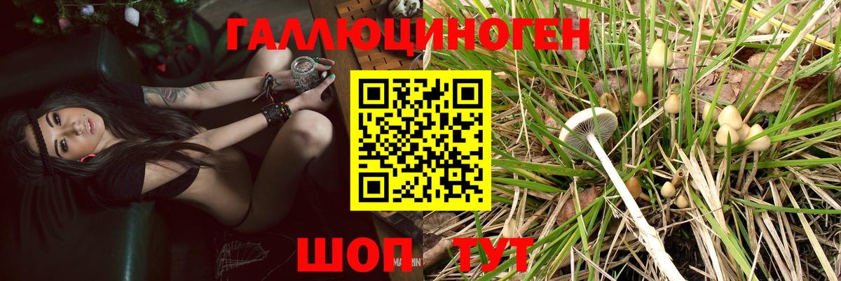 Галлюциногенные грибы прущие грибы  Вход с VPN  как найти наркотики  Белебей 